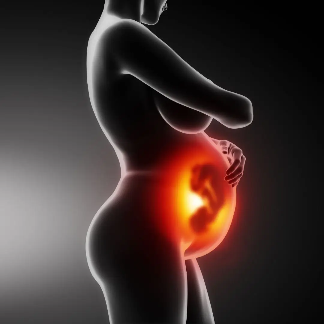 El inicio
El inicio de la vida