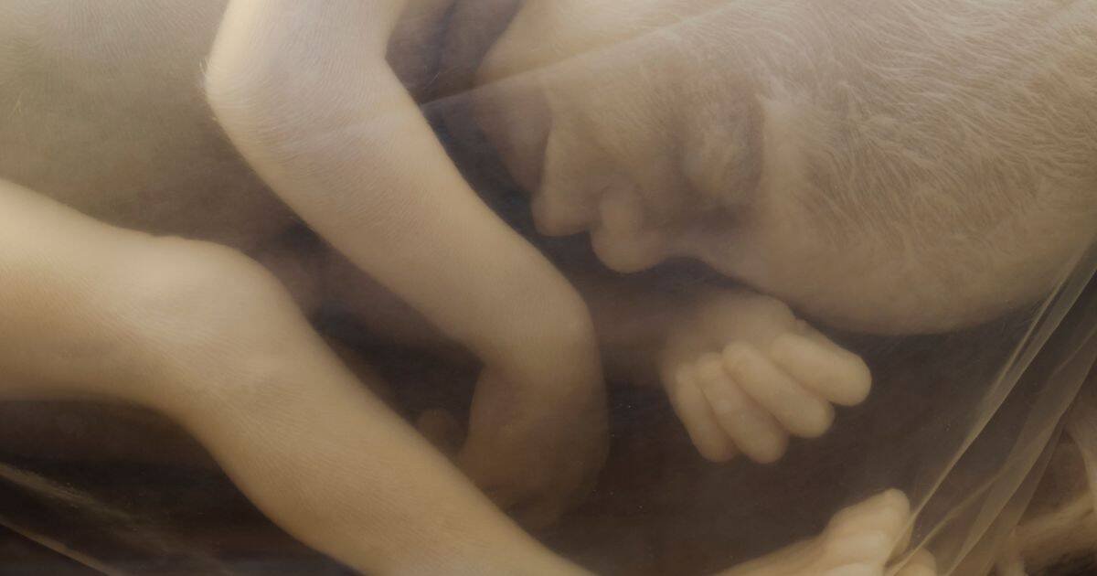 El inicio inicio de la vida