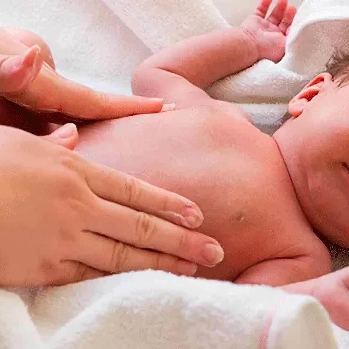 Servicios - Fisioterapia y Osteopatía - Thelma Hebe Soto
