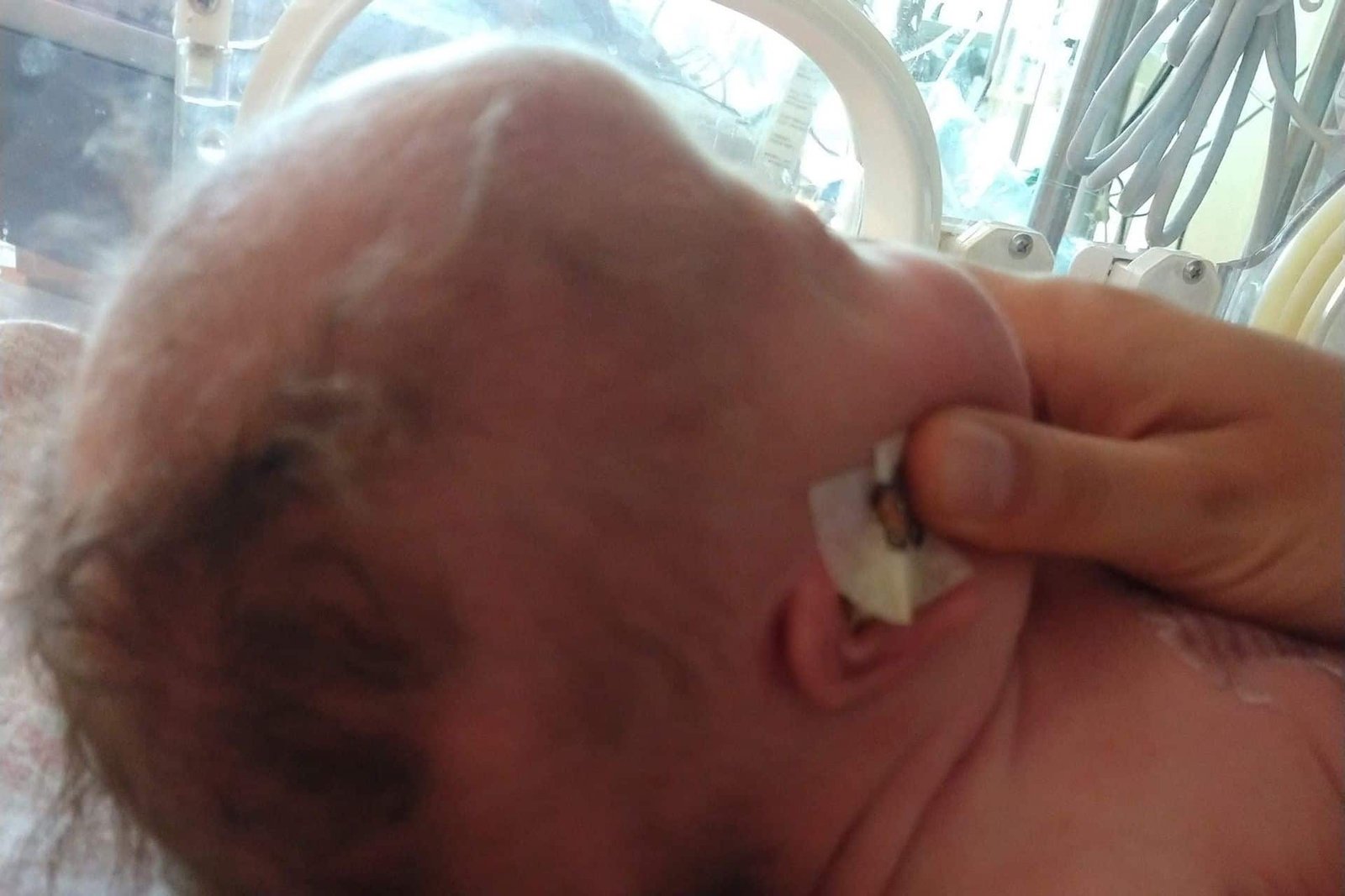 Fisios Infancias - Thelma Hebe Soto